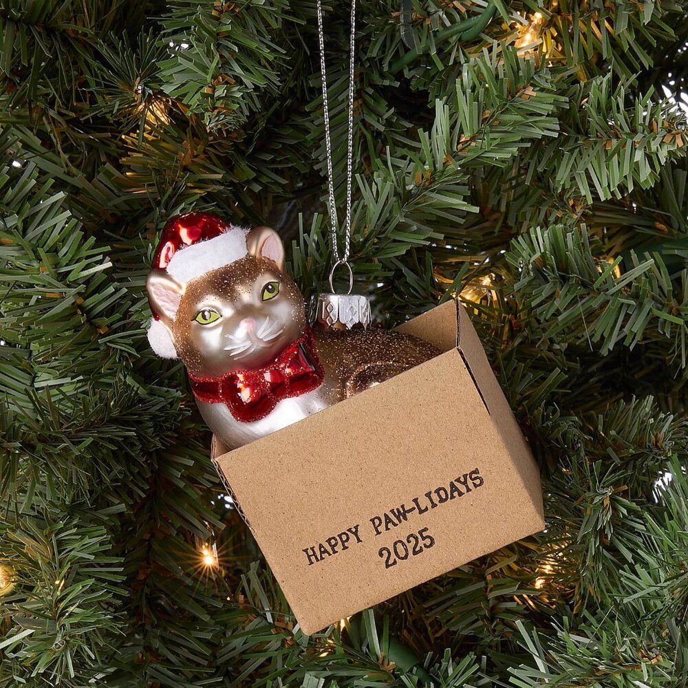 Macy's 2025-Pets Cat in Box Ornament (Holiday Lane)